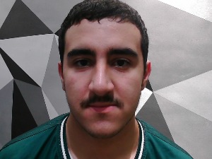 Face Image